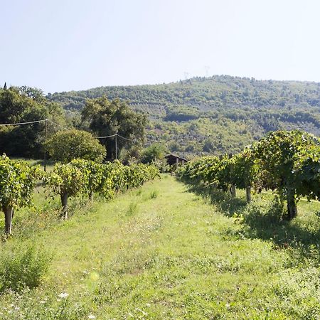 Agriturismo I Melograni Ferentillo Dış mekan fotoğraf