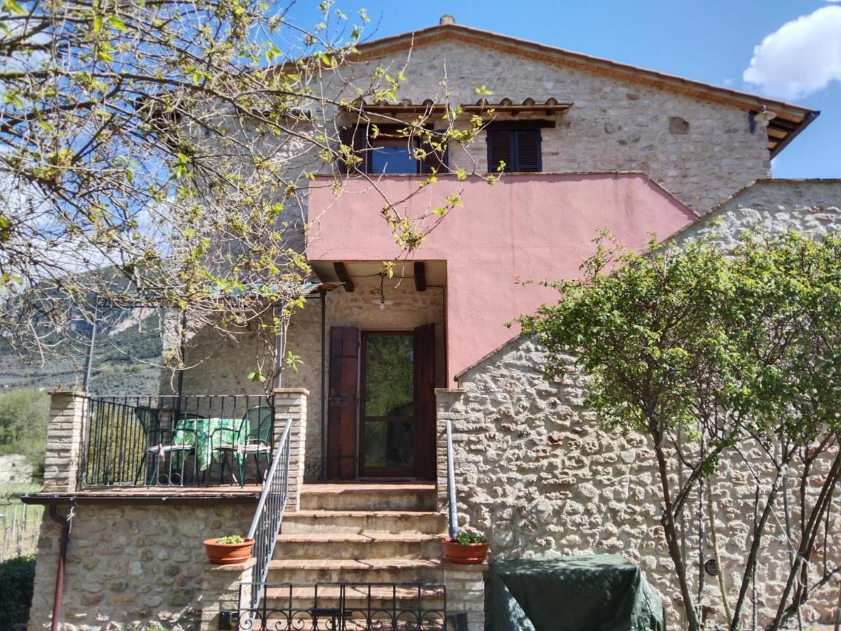 Agriturismo I Melograni Ferentillo Dış mekan fotoğraf