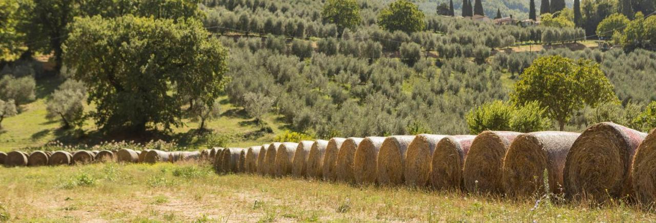 Agriturismo I Melograni Ferentillo Dış mekan fotoğraf