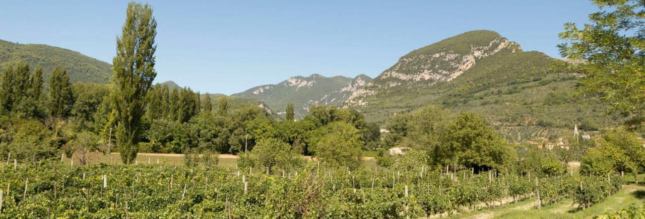 Agriturismo I Melograni Ferentillo Dış mekan fotoğraf