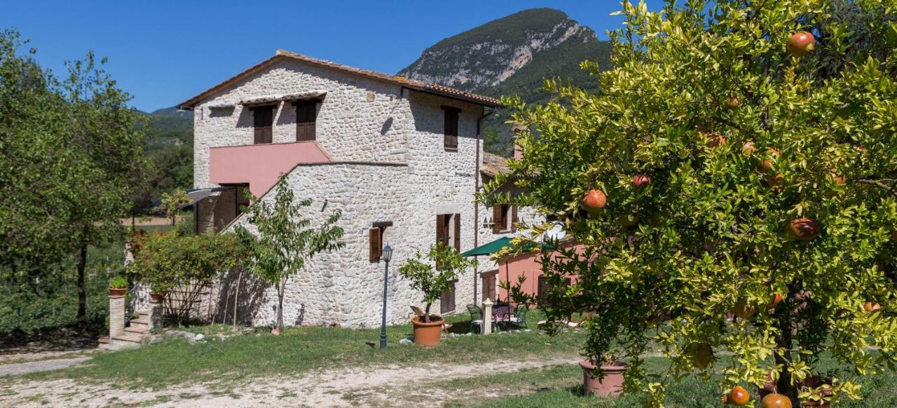 Agriturismo I Melograni Ferentillo Dış mekan fotoğraf