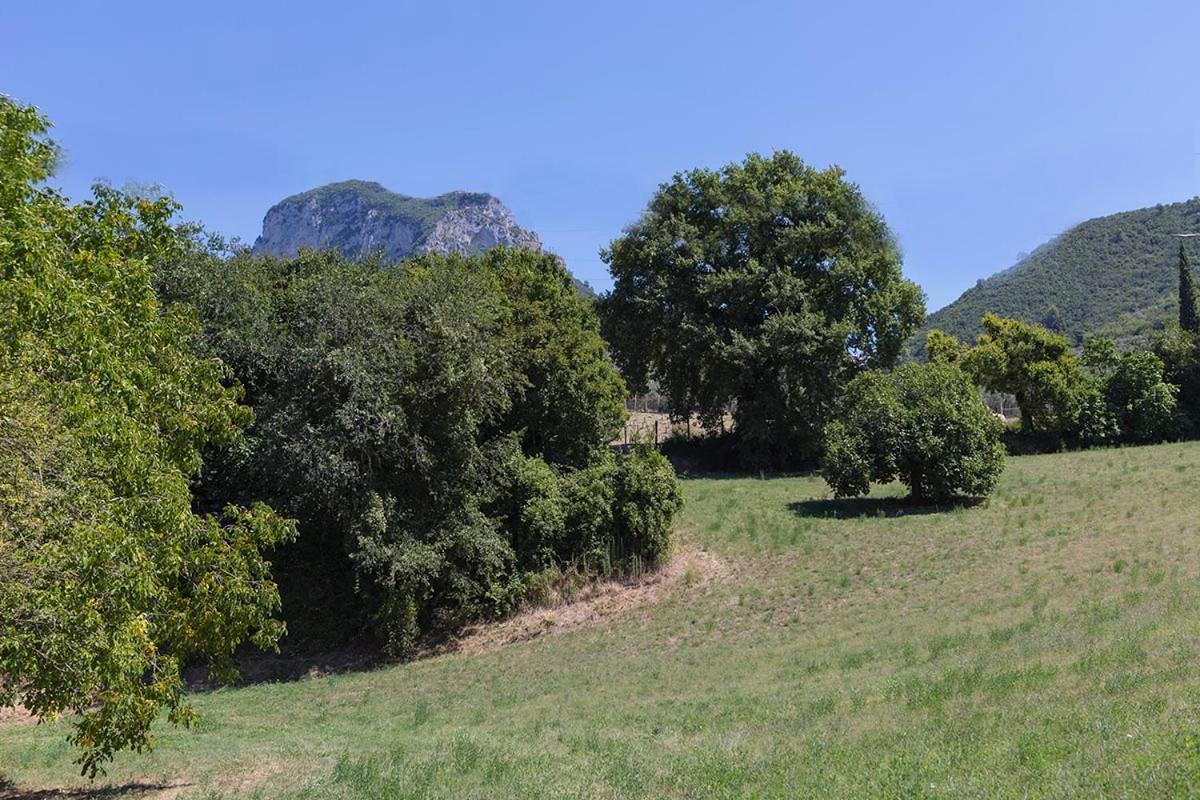 Agriturismo I Melograni Ferentillo Dış mekan fotoğraf