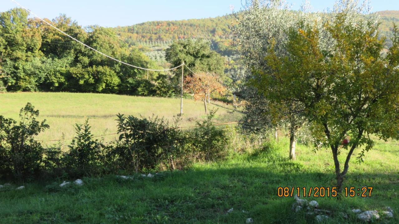 Agriturismo I Melograni Ferentillo Dış mekan fotoğraf