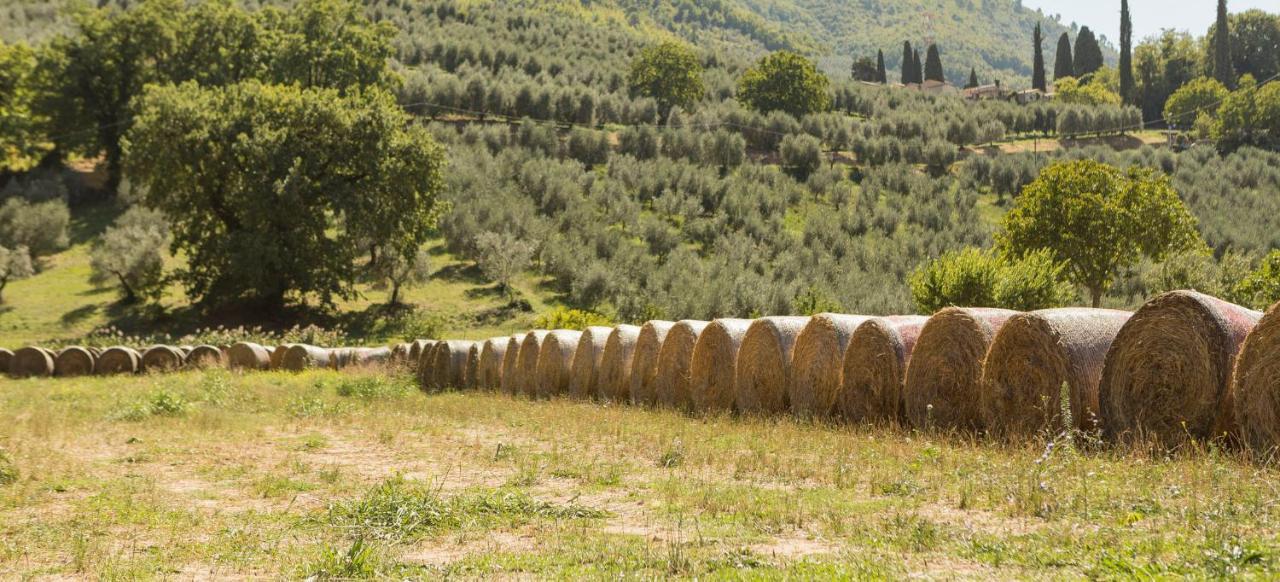 Agriturismo I Melograni Ferentillo Dış mekan fotoğraf