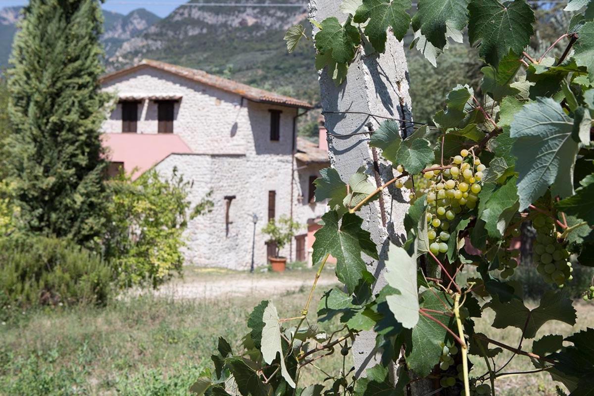 Agriturismo I Melograni Ferentillo Dış mekan fotoğraf