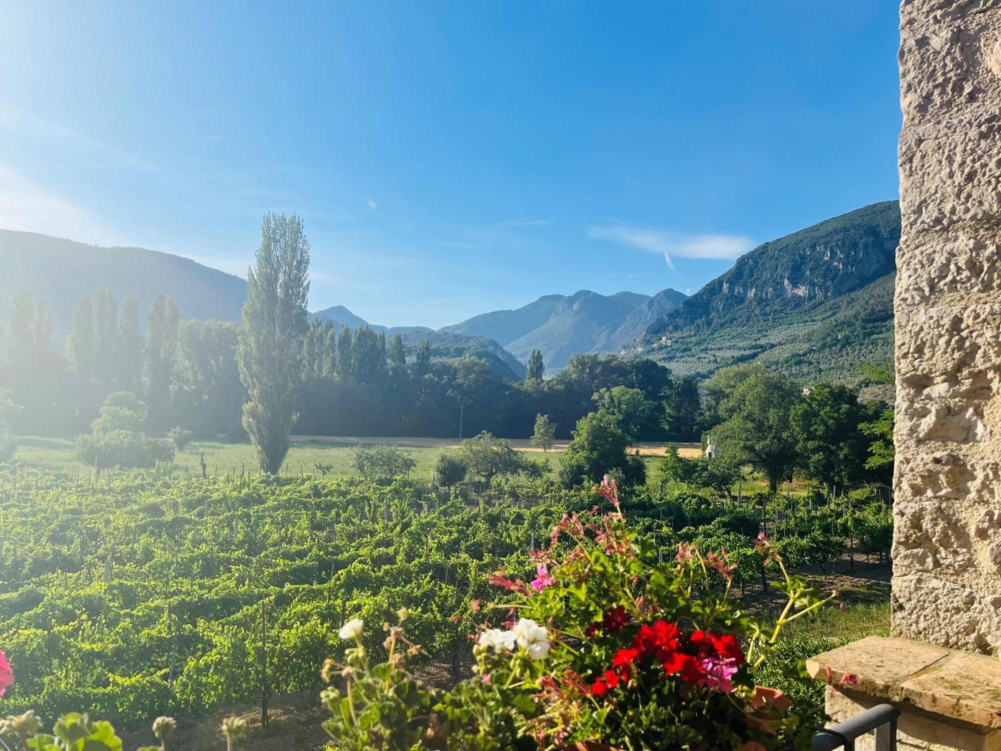 Agriturismo I Melograni Ferentillo Dış mekan fotoğraf